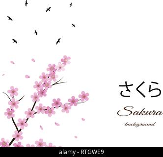 Sakura sfondo floreale con il ramo di un albero di uccelli. Illustrazione Vettoriale