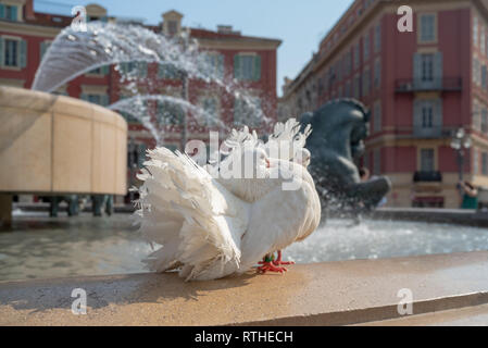 Nizza, Francia, Fontaine du Soleil (Fontana del Sole). Foto Stock