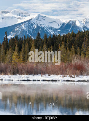 Sunrise a Vermiglio laghi vicino a Banff, Alberta, Canada con le montagne circostanti si riflette nel ghiaccio e acqua. Foto Stock