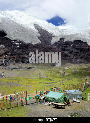 Karola Glacier 5560 C (m), Shannan Prefettura, Tibet, Cina Foto Stock