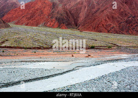 Oytagh valley, Kizilsu Prefettura, Xinjiang Uyghur Regione autonoma, Cina Foto Stock