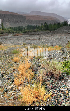 Oytagh valley, Kizilsu Prefettura, Xinjiang Uyghur Regione autonoma, Cina Foto Stock