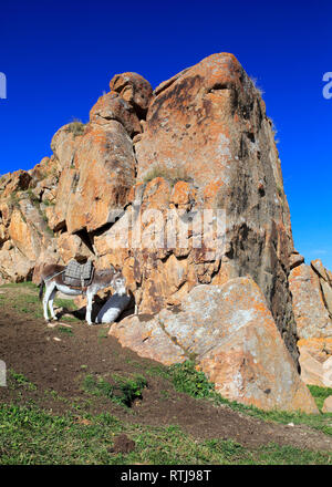 Nomads abitazione, Strada di Song Kol, Naryn Oblast, Kirghizistan Foto Stock