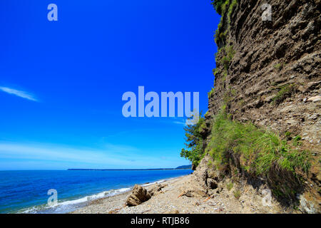 Il litorale del Mar Nero, Pitsunda, Abkhazia, Georgia Foto Stock