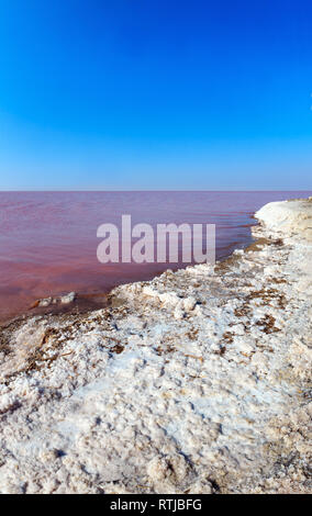 Rosa estremamente salato Lago Syvash colorati, da microalghe con sale cristallino deposizioni. Noto anche come il mare in putrefazione o mare marcio. L'Ucraina, Foto Stock