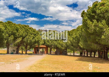 Gli alberi di pino, Santuario di Asclepio, Pergamon, Bergama, provincia di Izmir, Turchia Foto Stock