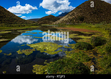 Acqua cristallina con sorgente-rossastra alghe colorate, riflettendo il cielo blu e nuvole e colline nelle vicinanze Foto Stock