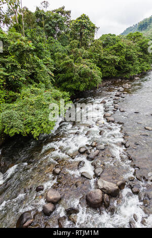 Fiume con acqua pulita e cristallina e molte rocce circondata dalla giungla verde nella foresta pluviale Foto Stock