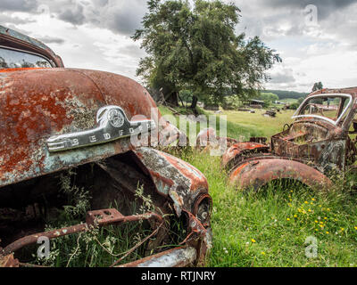 Veicoli disastrate, abbandonato rusty decadere in erba lunga, Endeans Mill, Waimiha, Ongarue, re paese, Nuova Zelanda Foto Stock