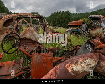 Veicoli disastrate, abbandonato rusty decadere in erba lunga, Endeans Mill, Waimiha, Ongarue, re paese, Nuova Zelanda Foto Stock