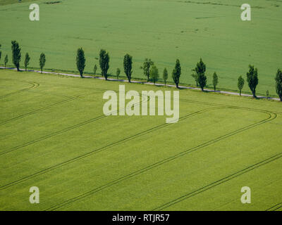 Vista dall'alto in basso su terreno coltivato con campi, prati e boschi. agricoltura concetto con i cingoli del trattore Foto Stock