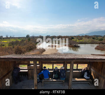 Gli amanti del birdwatching Birdwatching turisti britannici expats Bird watching da nascondere Guadalhorce estuario del fiume Area Naturale Malaga Costa del Sol Spagna in inverno Foto Stock