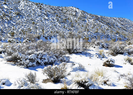 Coperta di neve terreno alpino nel Monte Charleston regione, popolari escursioni e alpinismo spot in primavera Montagne, vicino a Las Vegas Nevada Foto Stock