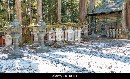 Toro lanterne di pietra al di fuori del Sacro stabile al Santuario Toshogu Foto Stock