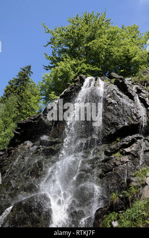 Radau Wasserfall, Harz, Niedersachsen, Deutschland Foto Stock