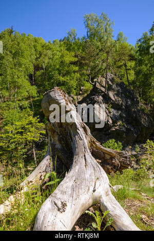 Okertal, Harz, Niedersachsen, Deutschland Foto Stock