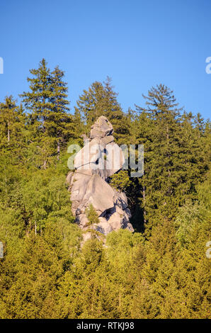 Okertal, Harz, Niedersachsen, Deutschland Foto Stock