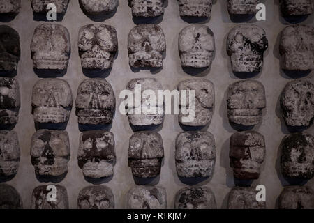 Sculture in pietra di teschi come un muro chiamato Tzompantli situato nella città azteca tenochtitlanana sepolta sotto città del Messico, Messico Foto Stock