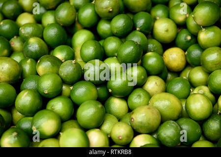 Limes Tahitiani verdi appena raccolti in un mercato di produzione di agricoltori a Medellin, Colombia Foto Stock