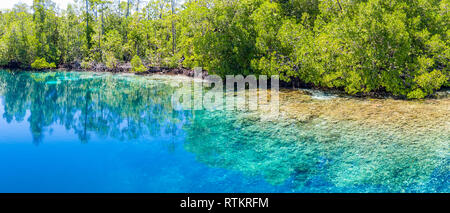 Vista aerea della barriera corallina e la foresta di mangrovie, Raja Ampat isole, Papua occidentale, in Indonesia, Oceano Pacifico Foto Stock