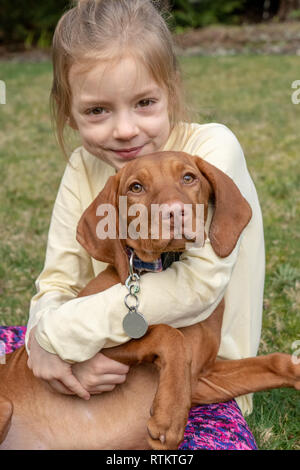 Issaquah, Washington, Stati Uniti d'America. 6 anno vecchia ragazza che abbraccia i suoi cinque mesi cucciolo Vizsla 'Pepe'. Foto Stock