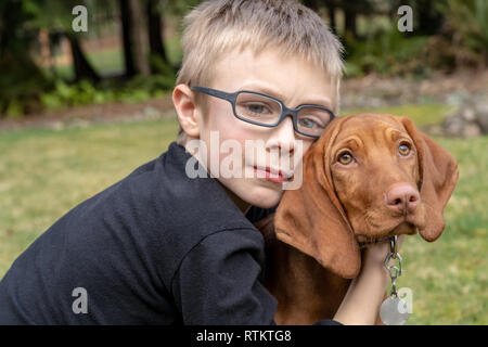 Issaquah, Washington, Stati Uniti d'America. 6 anno vecchio ragazzo abbraccia il suo cinque mesi cucciolo Vizsla 'Pepe'. Foto Stock