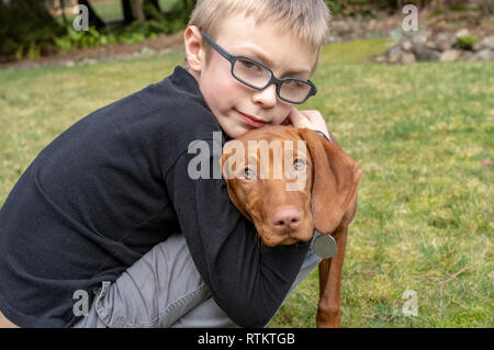 Issaquah, Washington, Stati Uniti d'America. 6 anno vecchio ragazzo abbraccia il suo cinque mesi cucciolo Vizsla 'Pepe'. Foto Stock