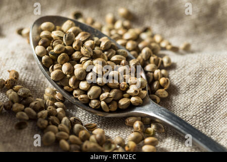 Organici di arrosto di sementi di canapa in una ciotola Foto Stock