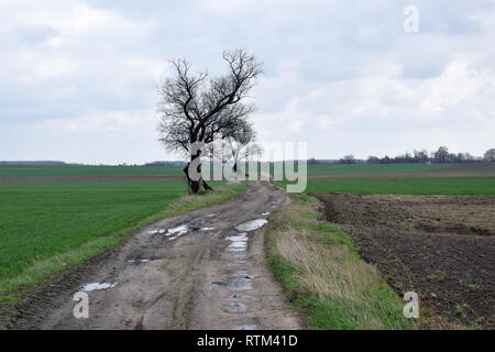 Paesaggio di strada sterrata attraverso il campo. Foto Stock