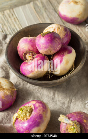 Materie organiche rape viola pronto per cucinare Foto Stock