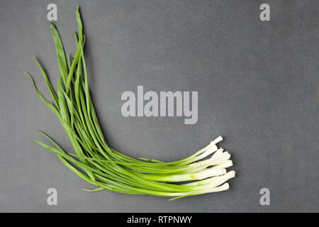 Cipollotti, su un nero lo sfondo di legno. Cipolle sul legno antico. Cipolla fresca. Cipolla verde (cibo e concetto di salute). Mazzetto di cipollotti freschi Foto Stock