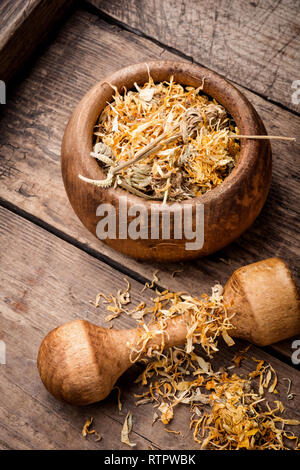 Tagete erbe medicinali o sani calendula erbe su sfondo di legno Foto Stock