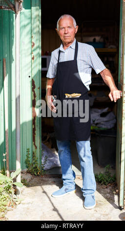 Grave alla ricerca di senior man in black grembiule in piedi nella porta della sua Tettoia da giardino Foto Stock