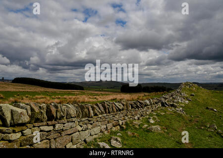 Vista su antico vallo di Adriano sul giorno nuvoloso in Inghilterra, Regno Unito Foto Stock