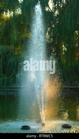 Getto di acqua dalla fontana nel lago con albero in background Foto Stock