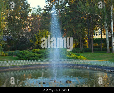 Getto di acqua dalla fontana nel piccolo lago con alberi in background Foto Stock