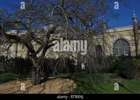 Il Royal Pavilion e giardino, Brighton, Regno Unito. Foto Stock