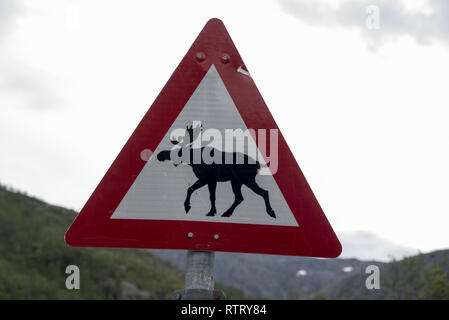 Elks sono talvolta coinvolti in incidenti stradali in provincia Troms della Norvegia. Pertanto specifica segnaletica stradale avvisa in caso di rischio di collisione. Foto Stock