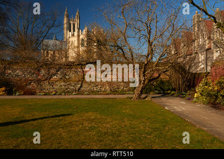 La cattedrale di Canterbury e dai giardini, Kent, Regno Unito, Europa Foto Stock