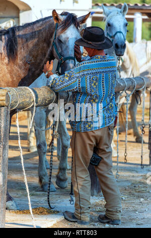 Francese antico Cowboy lavora con i suoi cavalli in un ranch in Camargue Foto Stock