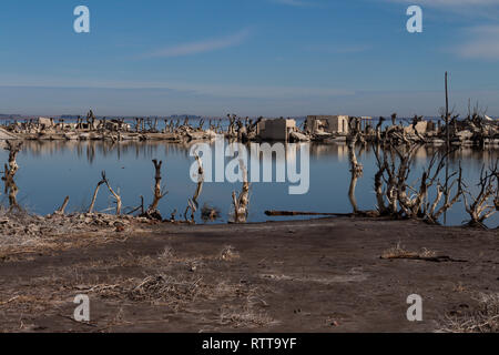 Gli alberi morti nella città abbandonate di Epecuen. Alluvione che distrusse la città e lasciato in rovine. Desolato paesaggio urbano. Città fantasma. Foto Stock
