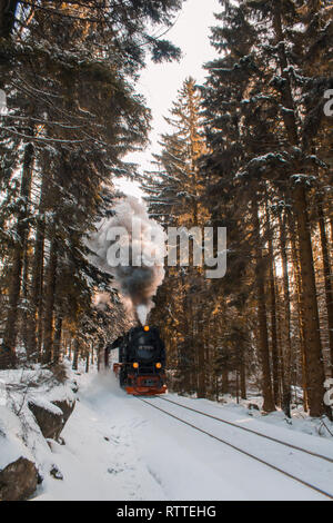 Treno a vapore sul modo per il punto più alto delle montagne Harz in Germania Foto Stock
