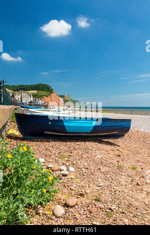 Una collezione di imbarcazioni a remi legati alla promenade ringhiere a Sidmouth su Jurassic Coast, Devon, Inghilterra, Regno Unito Foto Stock