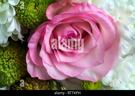 Bella rosa rosa in un mazzo di fiori tra gli altri fiori. Presentato close-up. Foto Stock