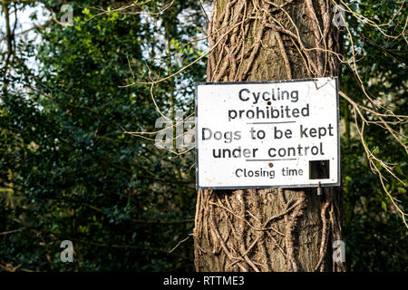 Croydon, Regno Unito - 03 Marzo 2019: Purley faggi parco con un grande grande numero di giovani e maturi alberi di faggio Foto Stock