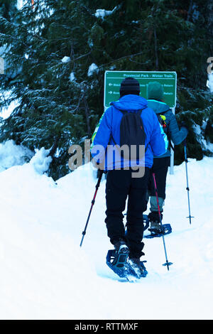 Escursioni con le racchette da neve in montagna. Foto Stock