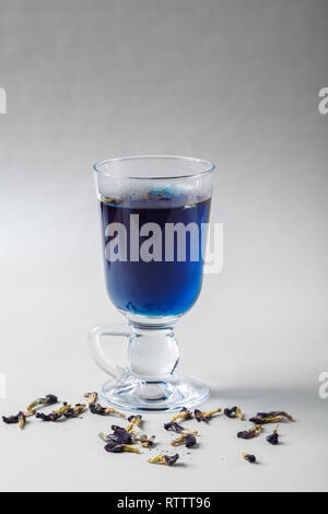 Versare il latte in una tazza di blue butterfly pea Anchan tè su sfondo grigio. Blue Thai tè e latte mescolato. Foto Stock