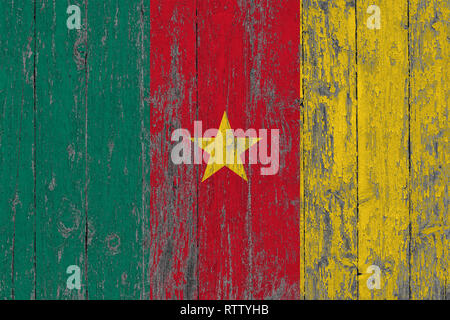 Bandiera del Camerun dipinta su usurata in legno sfondo texture. Foto Stock
