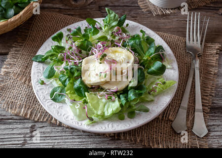 Insalata con la valeriana, marinata di formaggio di capra e rafano fresco germogli Foto Stock