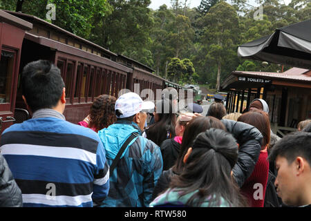 Visitare l'Australia. Scenic e viste di Australia. Treno a Vapore Puffing Billy il Dandenongs, Victoria, Australia Foto Stock